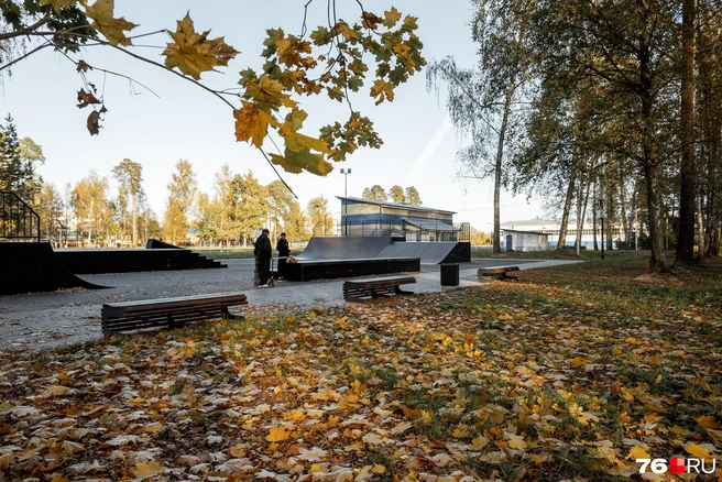 Вокруг царствует осень  | Источник: Александр Куренной / 76.RU