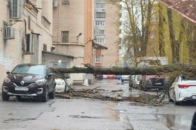 Ветер в Петербурге до 21 м/с: первые последствия