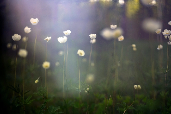 Источник: Предоставлено Николаем Пушилиным