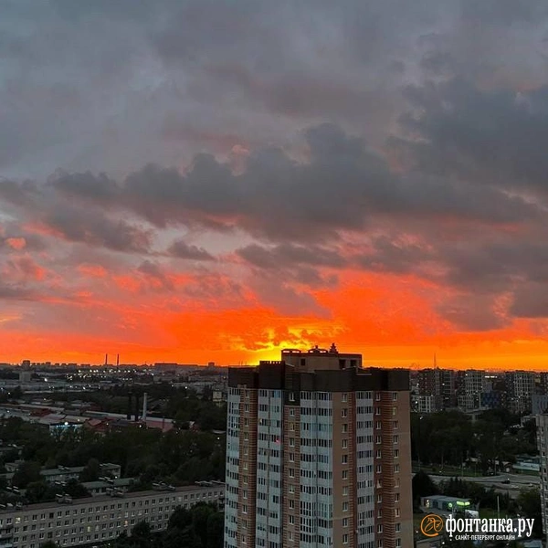 Источник: читатель «Фонтанки»