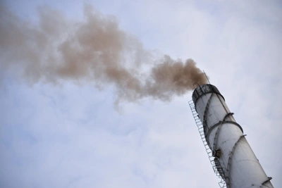 Сальск задыхается от гари сжигаемых чумных свиней