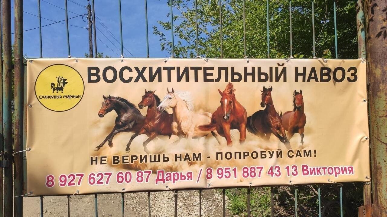 Хулиганские дела Здравствуйте, уважаемые, Приятного, времени, суток