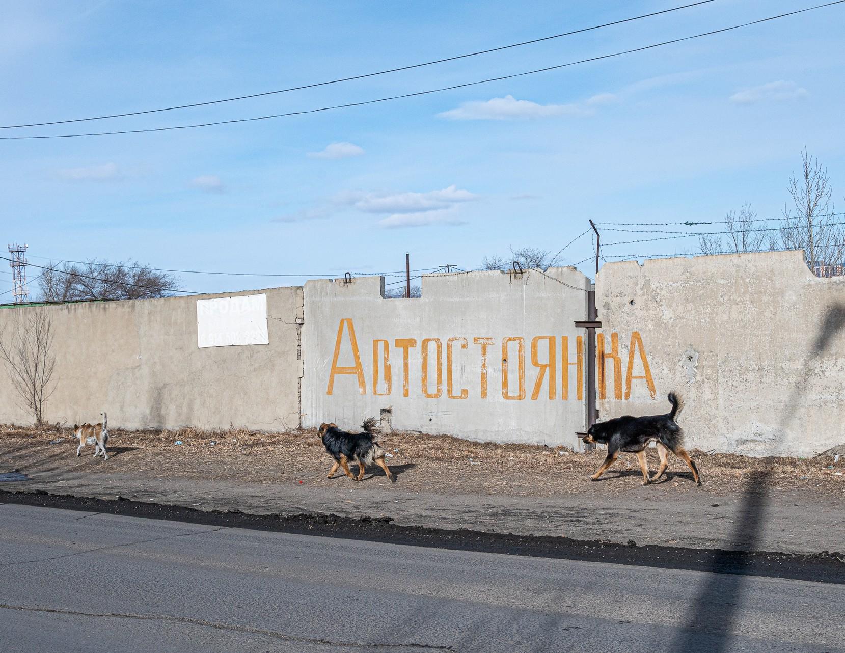 «Скинул тело в заброшенную шахту»: житель Тольятти не смирился с увольнением и до смерти забил своего работодателя