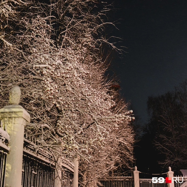 Над городом повисла практически полная Луна | Источник: Тимофей Калмаков / 59.RU