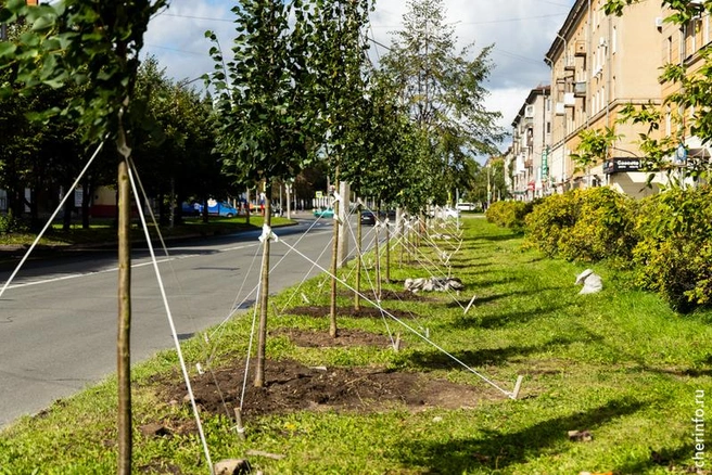 Источник: st.cherinfo.ru