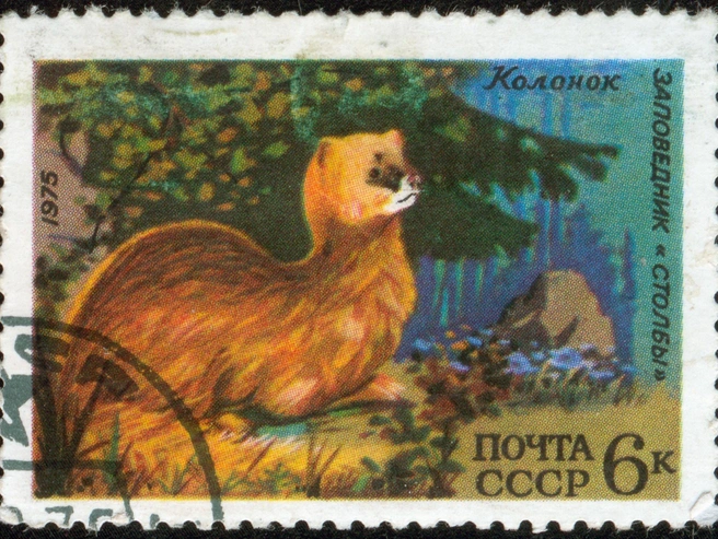Колонок на почтовой марке СССР 1975 года | Источник: Shutterstock/Fotodom.ru
