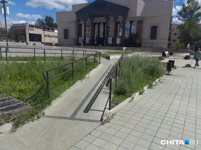 ДМРСУ в это время стригло площадь Декабристов | Источник: очевидец