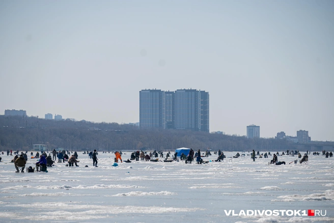 Источник: Елена Буйвол / VLADIVOSTOK1.RU