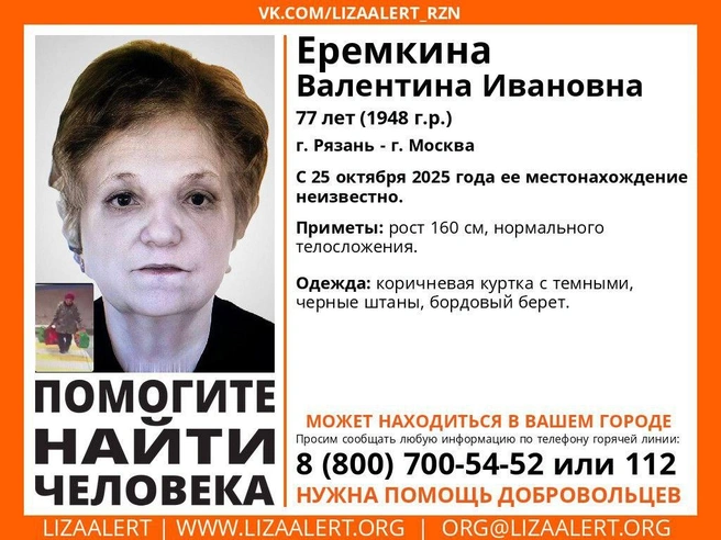 Объявление об исчезновении женщины опубликовали в соцсетях спасательного отряда | Источник: ПСО «ЛизаАдерт»