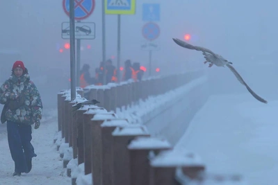 The Coldest Night of Winter in St. Petersburg: Forecast
