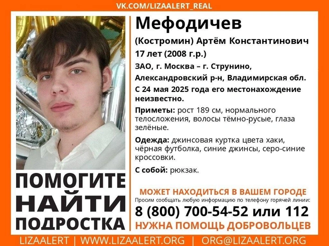 Артем может находиться в Новосибирской области | Источник: lizaalert_novosib/vk.com