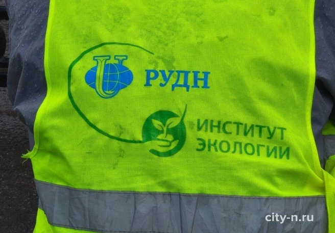 За год в атмосфере Новокузнецка возросла концентрация двух особо опасных соединений | Источник: www.city-n.ru