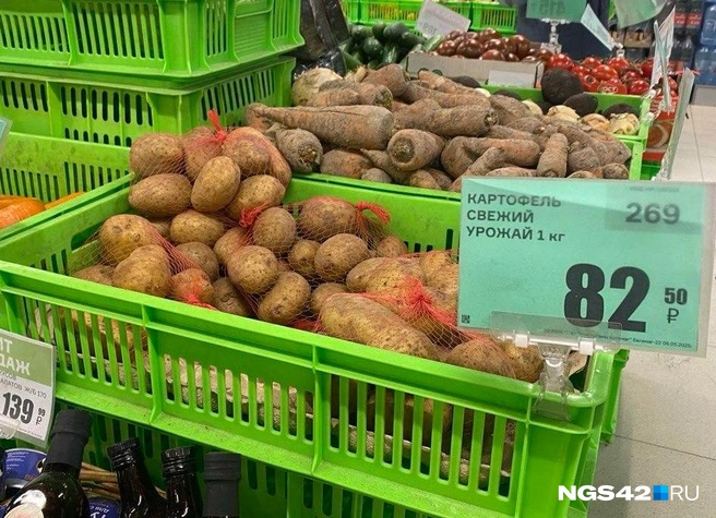 Источник: Елизавета Богатырева / NGS42.RU
