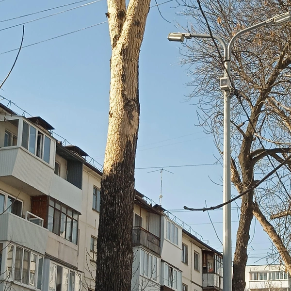 Источник: Жизнь прекрасна / Vk.com