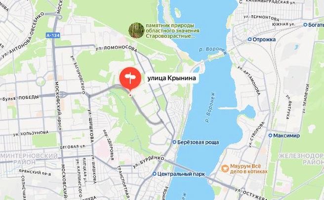 Улица Крынина на карте Воронежа | Источник: Яндекс Карты / yandex.ru/maps
