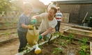 7 продуктов для снижения давления, которые можно вырастить на даче, назвала врач Павлова
