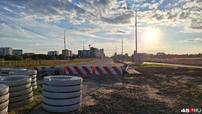 Остановка на Алексеева уже установлена, но пока автобусы здесь не едут | Источник: Александр Лисихин / 45.RU