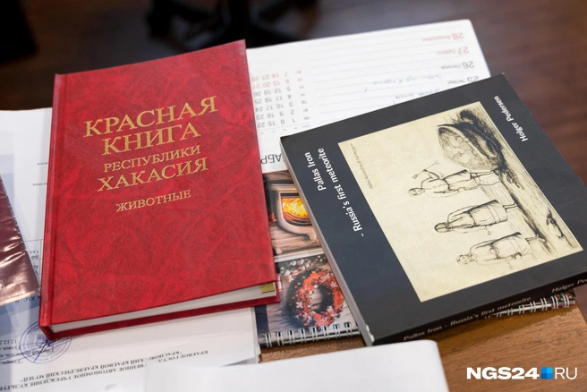 Рабочие книги | Источник: Мария Ленц / NGS24.RU
