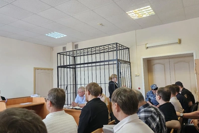 Ходатайство Елены Камшиловой о домашнем аресте не рассмотрено
