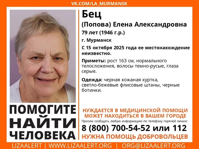 Источник: Поисковый отряд «ЛизаАлерт» Мурманской области / Vk.com