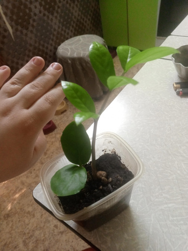 Изображение пользователя