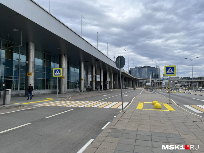 Москвичи назвали Шереметьево лучшим аэропортом столичного воздушного узла | Источник: Виктория Чулюкина / MSK1.RU