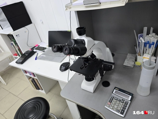 А в этот можно разглядывать паразитов, преследующих животных | Источник: Семен Коротов-Майбах / 164.RU