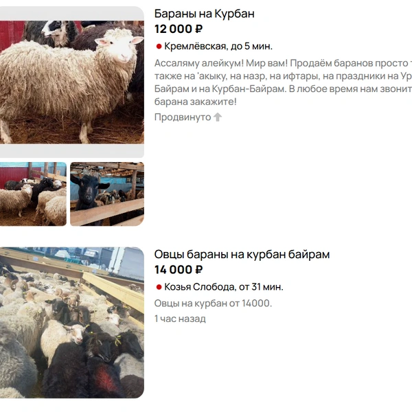 Источник: Avito.ru