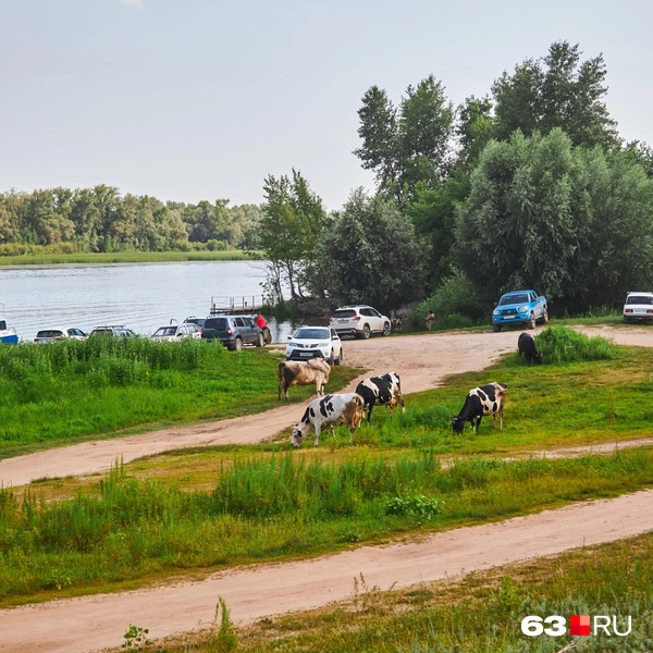 Источник: Роман Данилкин