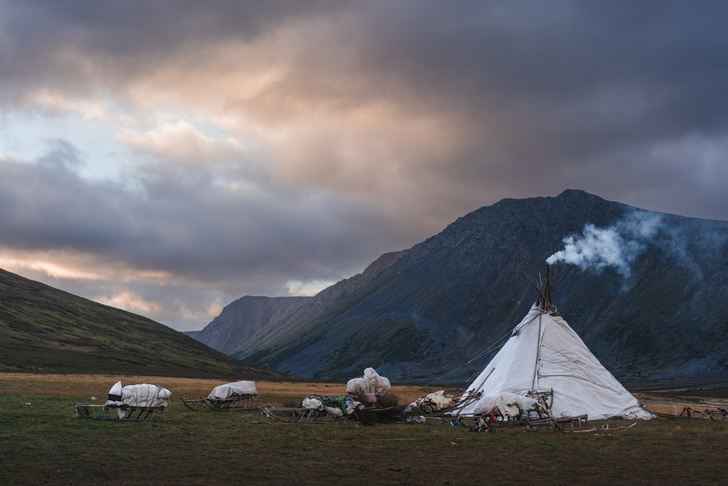 Чему стоит поучиться у северных кочевников: дневник фотографа