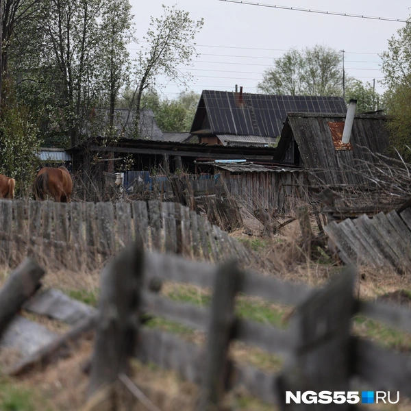 Село умирает | Источник: Евгений Софийчук / NGS55.RU