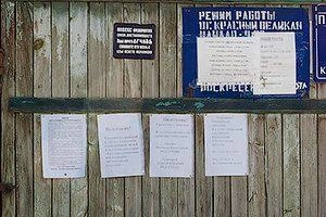 Источник: Ксения Зимина