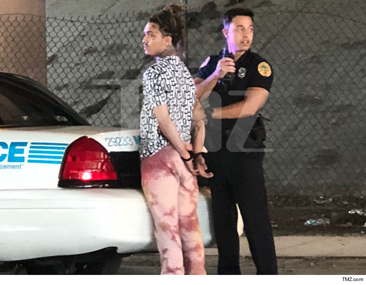 За что арестовали рэпера Lil Pump? | Источник: TMZ