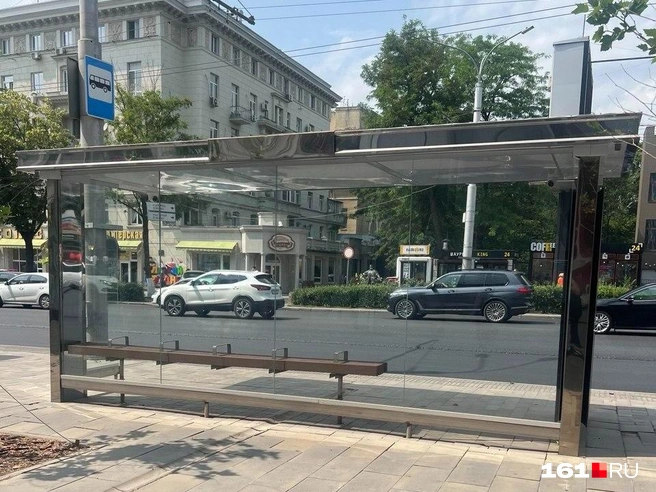 Источник: Алина Заярная / 161.RU