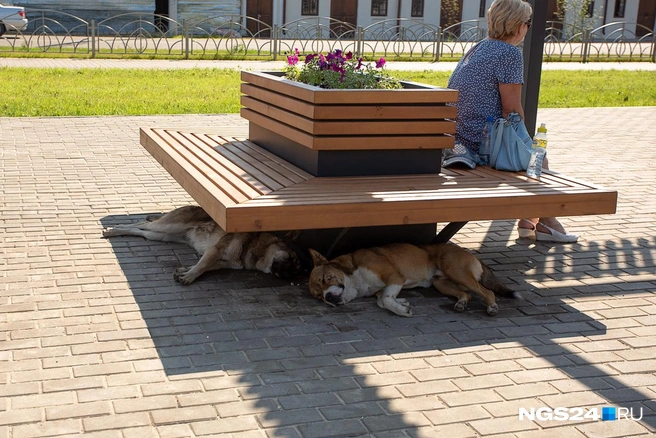 Можно ли жить в Енисейске: его плюсы, минусы, стоимость жилья, работа