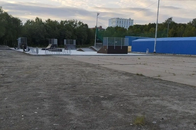 Истерзанное тело собаки обнаружено на детской площадке в Сафоново