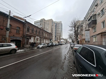 Улица Платонова в Воронеже | Источник: Алёна Воропаева / Voronezh1.ru