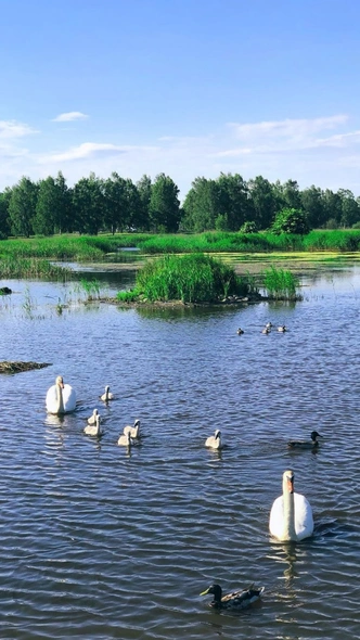 Курортный роман: 10 ароматов, которые перенесут на пляж