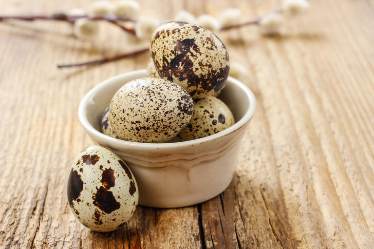 Почему яйца птиц заострены с одного конца