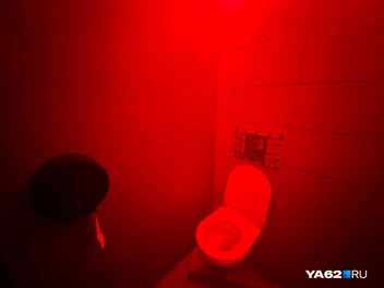 Даже туалетная бумага есть! | Источник: Дарья Ходосевич / YA62.RU