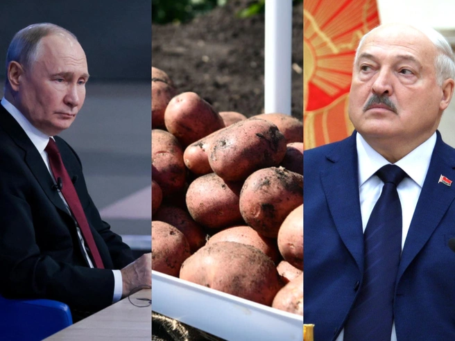 Белоруссия сняла запрет на импорт сельскохозяйственной продукции из недружественных стран | Источник: Артём Устюжанин, MSK1.RU / Дмитрий Емельянов, E1.RU / kremlin.ru