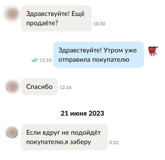 Как я заработала почти миллион на продажах с Авито: исповедь осознанного шопоголика