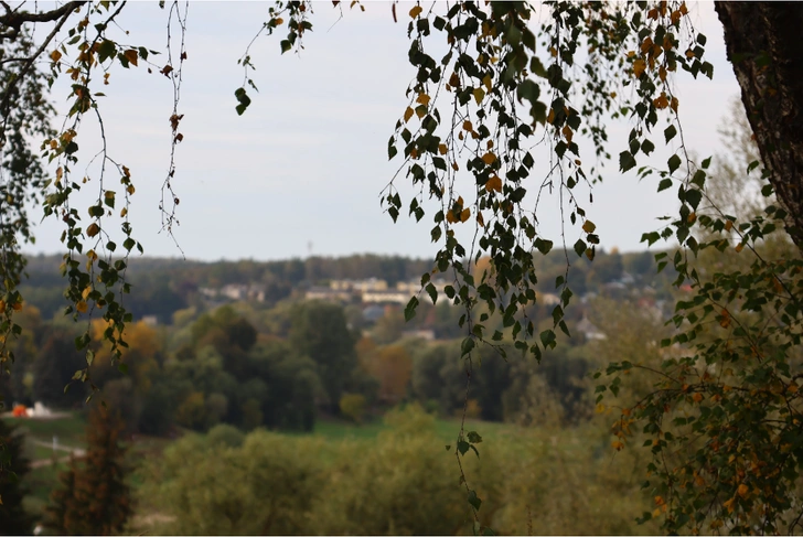 Источник: Екатерина Кикина