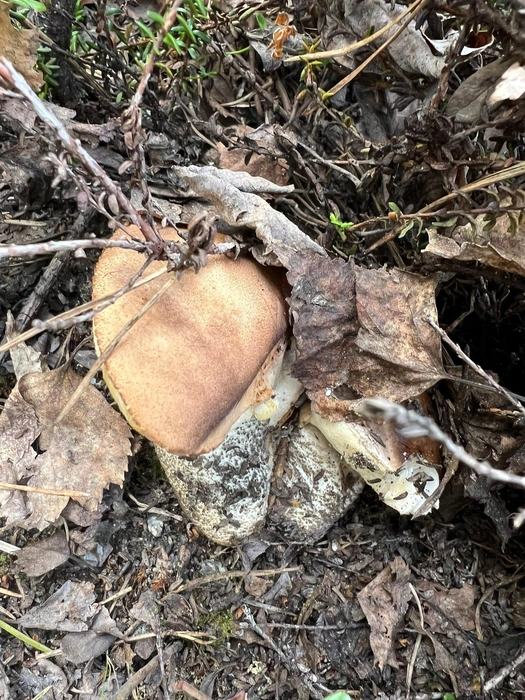 Источник: Наталия Петрунина