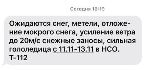 Источник: МЧС по НСО