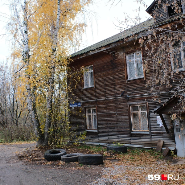 Источник: Тимофей Калмаков / 59.RU