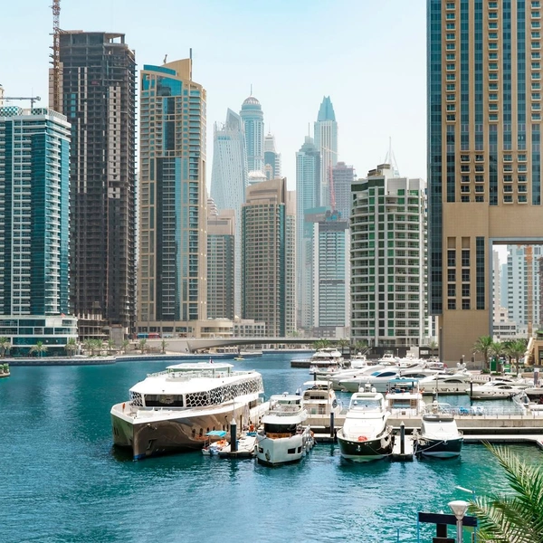 Источник: solkafa/Shutterstock/Fotodom.ru