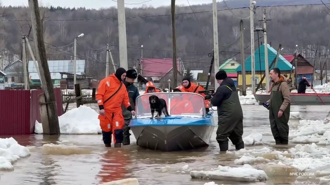 Паводок набирает силу. Дома заливает уже в 11 регионах | Источник: МЧС России