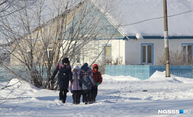 Родители могут самостоятельно решить отпускать ли ребенка в школу в мороз | Источник: Александр Зубов / NGS55.RU