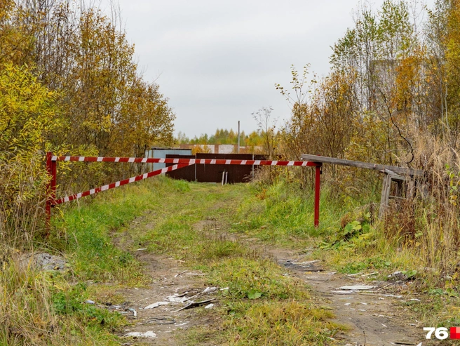 Подъезд к «Новому Ярославлю» в настоящее время перекрыт | Источник: Кирилл Поверинов / 76.RU